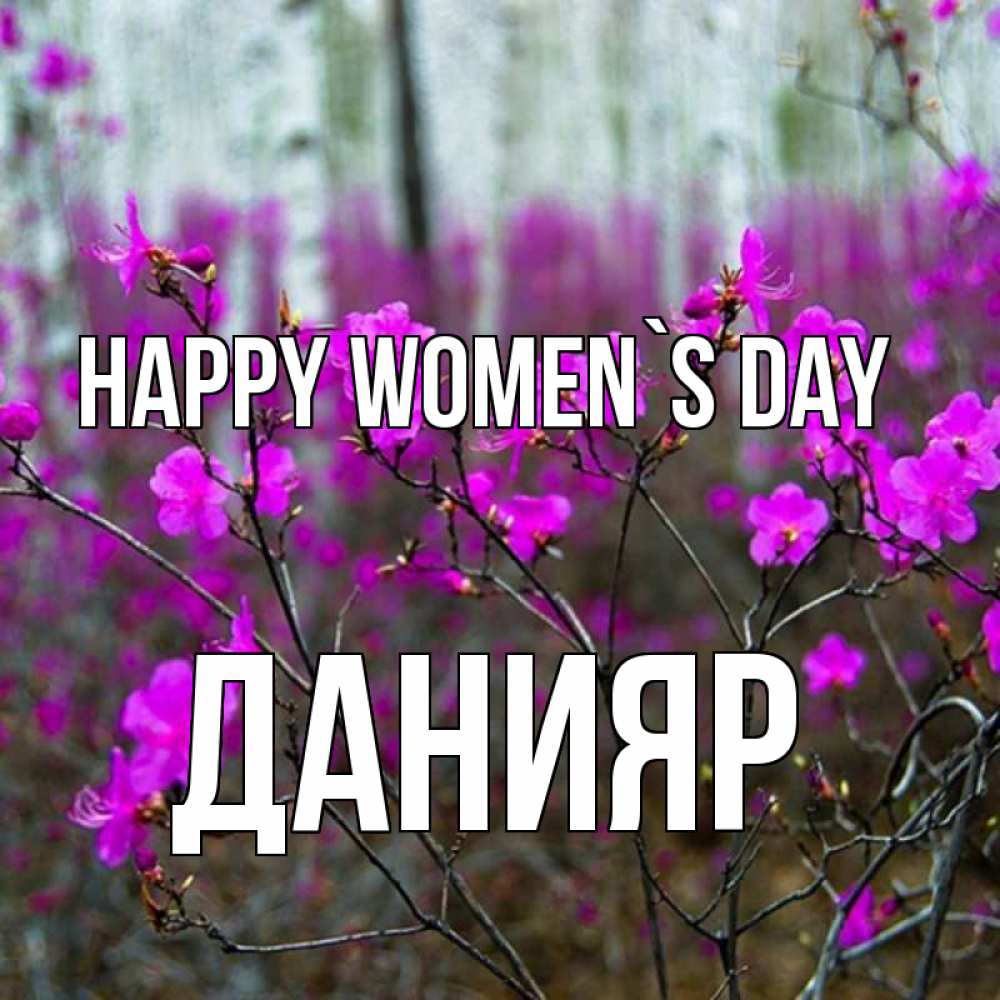 Greetings card с именем, Данияр happy women`s day дикие цветы Greetings with text for free download 
